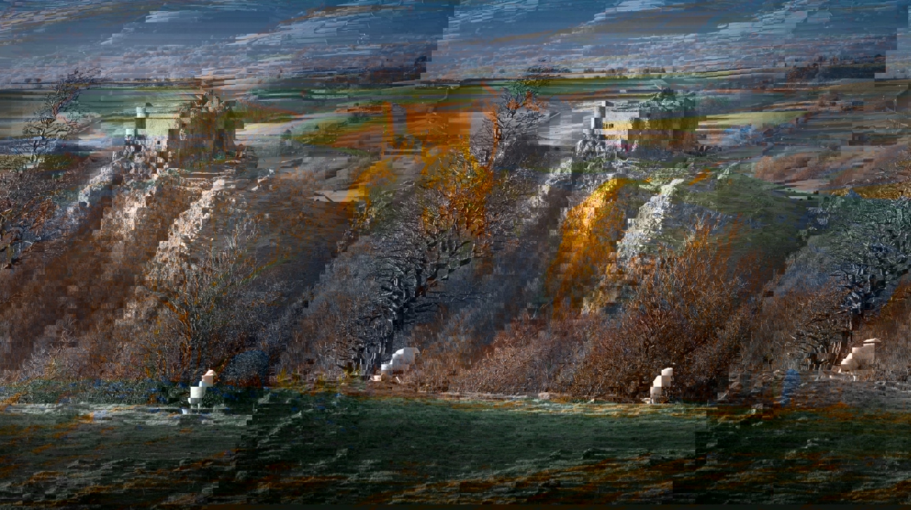 Camarthenshire