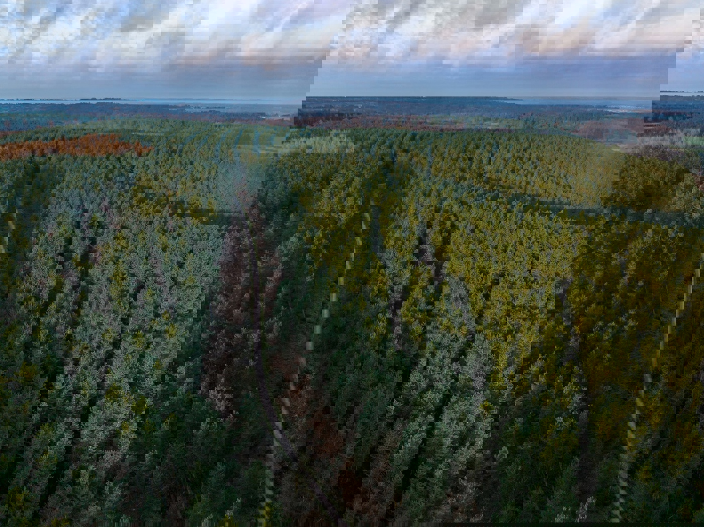 Carmarthenshire landscape