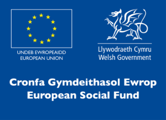 European Social Fund Logo